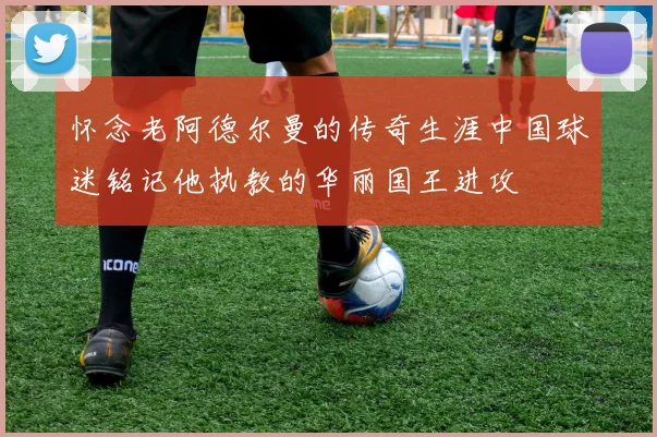 怀念老阿德尔曼的传奇生涯中国球迷铭记他执教的华丽国王进攻