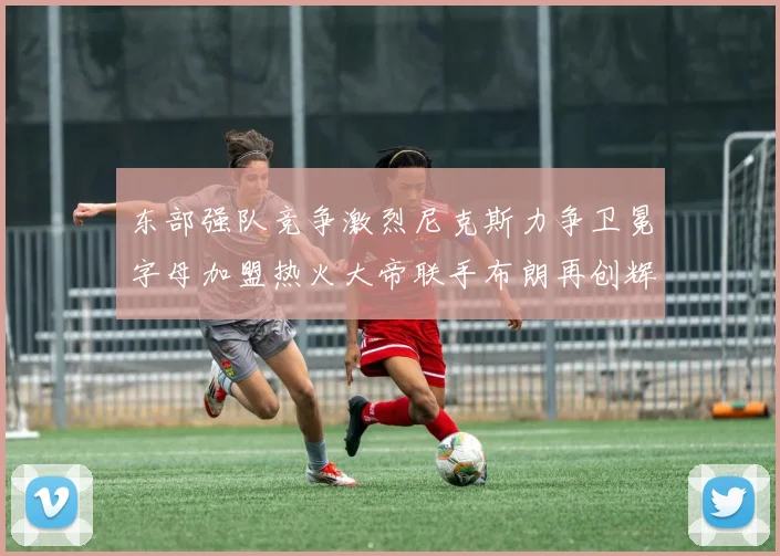 东部强队竞争激烈尼克斯力争卫冕字母加盟热火大帝联手布朗再创辉煌