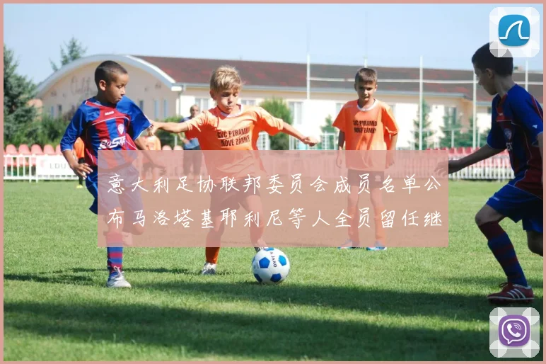意大利足协联邦委员会成员名单公布马洛塔基耶利尼等人全员留任继续服务